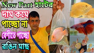 Serampore Fish Pet Market  Recent Aquarium Fish Price Update Serampore Pet Market  Aquarium Fish [upl. by Anwahsat]