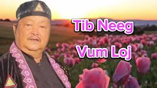 Tib Neeg Vum Loj 08122024 [upl. by Yelrahs]