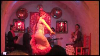 Flamenco Dancing in Granada Spain [upl. by Weintrob498]