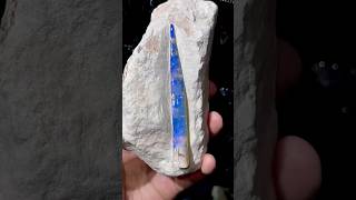 Opalized skeleton of the belemnite [upl. by Kcir]