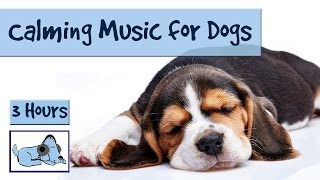 3 and a Half Hours of Calming Music for Dogs [upl. by Aubree264]