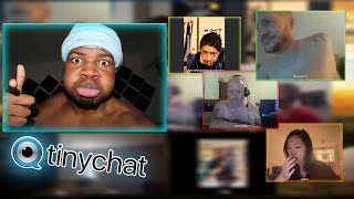 Killing the TINYCHAT [upl. by Cohbath]