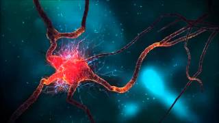 Muscle Spasms Binaural Beats Brainwave Entrainment [upl. by Atikahc]