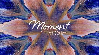 Moment of Calm  You Are So Many Things [upl. by Jordanson]