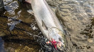 Plunking for Spring Chinook on the Columbia River [upl. by Emlen]