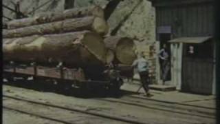 Yosemite Lumber Co inclinewmv [upl. by Haimehen]