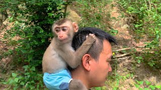 Monkey Puka and Dad go into the forest to relax [upl. by Naut928]