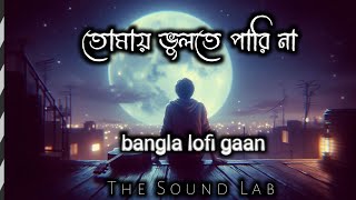 তোমায় ভুলতে পারি না😔  Lofi song bangla  New lofi 2024 [upl. by Aljan]