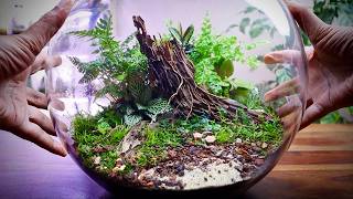 Fish Bowl Terrarium Anyone Can Build [upl. by Dorena]