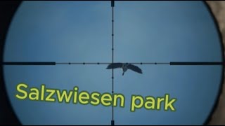 Jæger på det nye map Salzwiesen park TheHunter Call of the Wild [upl. by Assenal279]