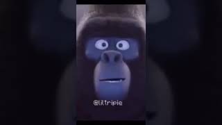 Sing Gorilla Meme [upl. by Byron]