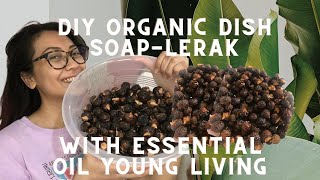 DIY Orgnanic DISH SOAP from LERAK Sapindus Rarak with Essential Oil Young Living [upl. by Ase]