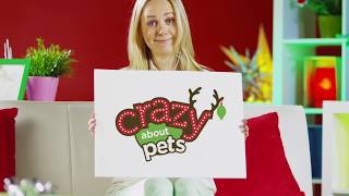 Crazy About Pets Petco [upl. by Anila]