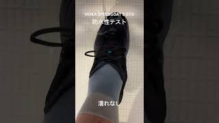 HOKA SPEEDGOAT 5 GTX 防水テスト [upl. by Dyann]