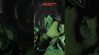 Another Big Bug Fight fallout4 gameplay gaming bethesda [upl. by Mick]