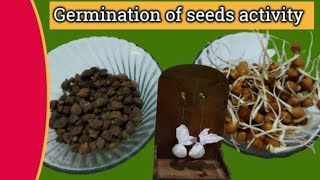 Germination of seeds activity  Class 6 [upl. by Batha451]