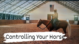 Trustworthy Trail Horse Training  Controlling Your Horse [upl. by Lebama]