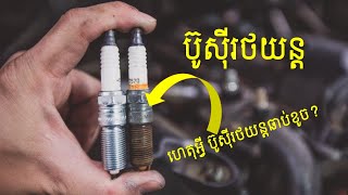 តើហេតុអ្វីប៊ូស៊ីរថយន្ដឆាប់ខូច [upl. by Masha]