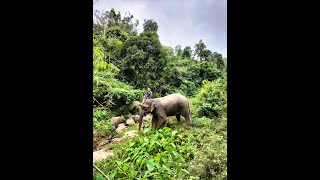 3dniowy trekking w okolicy Chiang Rai Tajlandia [upl. by Delaney]