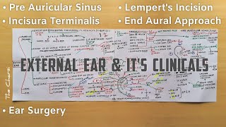 External Ear  2 Auricle  Lemperts Incision Incisura Terminalis Pre Auricular Cyst   TCML [upl. by Pinto452]