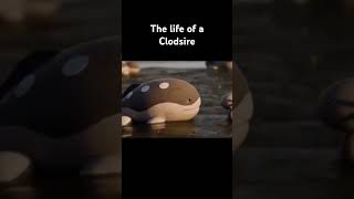 The Life of a Clodsire [upl. by Ardelia]