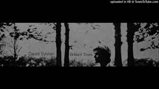 David Sylvian  Brilliant Trees [upl. by Chavaree667]