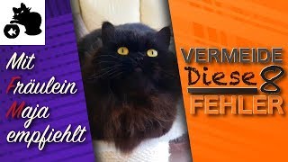 🔥8 Katzen Tipps  Vermeide unsere 8 Fehler  Mit Fräulein Maja empfiehlt  Tipps zur Katzenhaltung [upl. by Lohner]