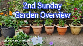 2nd Sunday Garden Overview Garden terracegarden [upl. by Anaigroeg]