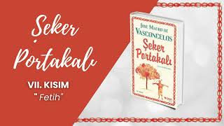 Şeker Portakalı Sesli Kitap  7 BÖLÜM  Jose Mauro de Vasconcelos [upl. by Bonne757]