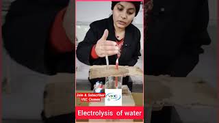 Electrolysis of water vkcclasseselectrolysis using salt electrolysis of water at Home [upl. by Sivrahc]