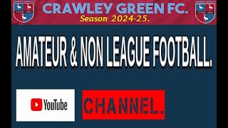 Brandon Carney 2nd Goal for Crawley Green MK Irish 23rd Nov 2024 [upl. by Neeliak839]