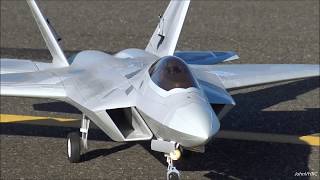 WINDY Day Bumpy Flight Freewing F22 Raptor 90mm EDF Jet F22 Motion RC [upl. by Pol]