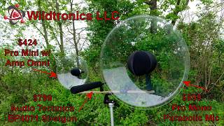 Parabolic Microphone Comparison Tests [upl. by Ayeka]