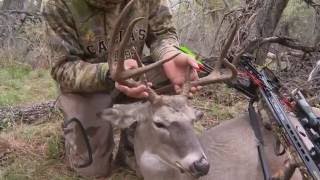 Early Morning Crossbow Hunt for Whitetail [upl. by Yenots]