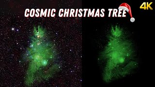 A Cosmic Christmas Tree Nebula in Space NGC 2264 in 4K [upl. by Neellok801]