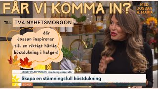 Jossan gör en stämningsfull höstdukning i TV4 Nyhetsmorgon [upl. by Ereynihc]