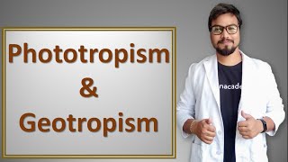 Phototropism and geotropism in hindi [upl. by Idnac]