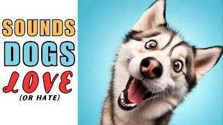 🤔Sounds That Make Your Dog Bark or Tilt Head  Dogs Barking Loud  Dog Sounds [upl. by Ydnyc]