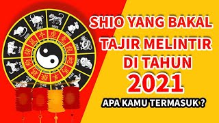 SHIO YANG BAKAL TAJIR MELINTIR DI TAHUN 2021 APA ITU KAMU [upl. by Maguire]