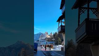 Hohes Schloss Füssen Germany 🇩🇪 castle germany placestovisit [upl. by Reis]