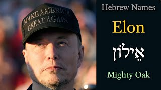 Elon אֵילוֹן  The Meaning of the Hebrew Name Elon [upl. by Jonas958]