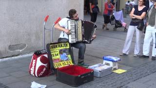 Awesome accordion player [upl. by Zetnauq688]