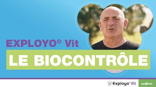 EXPLOYO® Vit  la solution biocontrôle pour lutter contre Eudémis [upl. by Wilinski]