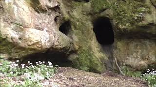 KENNOWAY DEN AND JOHN KNOXS CAVE SCOTLAND [upl. by Lanevuj660]