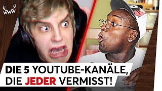 5 YouTubeKanäle die JEDER vermisst  TOP 5 [upl. by Nylacaj207]