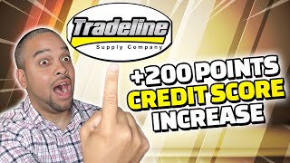 Increase Your Credit Score 200 Points With This 59000 Tradeline [upl. by Haroppizt845]