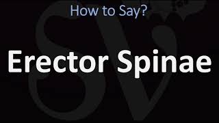 How to Pronounce Erector Spinae CORRECTLY [upl. by Esereht]