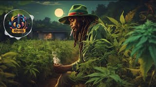 Best Dub MixDub ReggaeGanja DubBest Reggae Mix 2024New Reggae Remix Best Reggae Roots 🇯🇲 [upl. by Yrocaj]