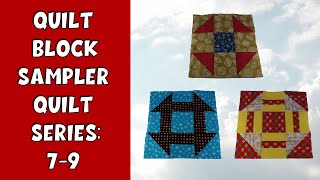 Quilt Block Sampler Quilt Series Blocks 79 [upl. by Mariette710]