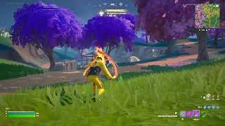 Fortnite20241202031752 [upl. by Nas]